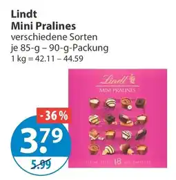 V Markt Lindt Mini Pralines Angebot