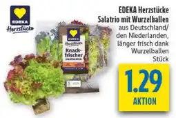 diska EDEKA Herzstücke Salatrio mit Wurzelballen Angebot