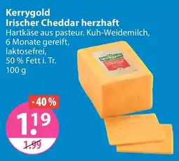 V Markt Kerrygold Irischer Cheddar herzhaft Angebot