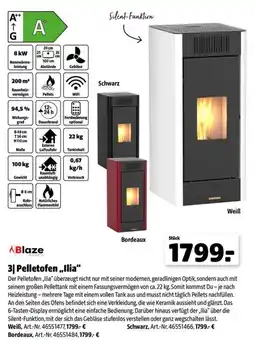 Leitermann Baumarkt Blaze Pelletofen „Ilia“ Angebot