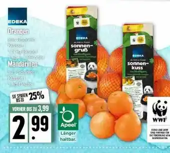 Edeka Orangen Mandarinen Angebot