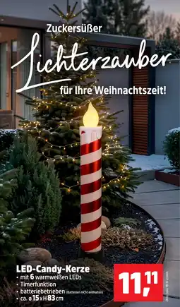 Thomas Philipps LED-Candy-Kerze Angebot