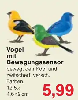 Wiglo Wunderland Vogel mit Bewegungssensor Angebot