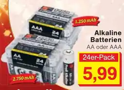 Wiglo Wunderland Alkaline Batterien AA oder AAA Angebot