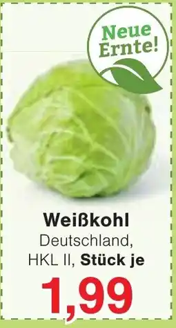 Wiglo Wunderland Weißkohl Angebot