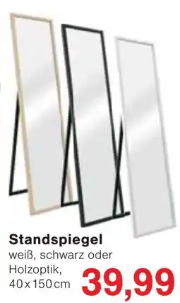 Wiglo Wunderland Standspiegel Angebot
