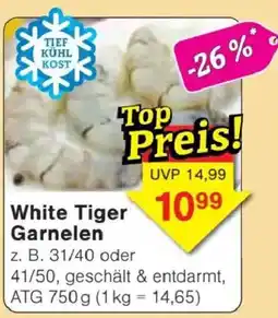 Jawoll White Tiger Garnelen Angebot