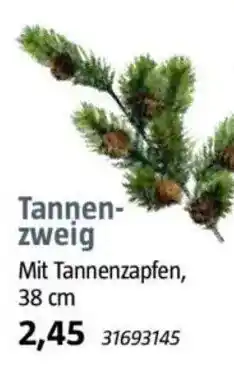 Bauhaus Tannenzweig Angebot