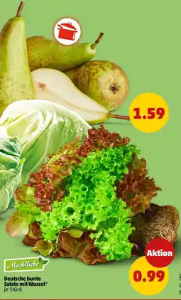 PENNY Markt liebe Deutsche bunte Salate mit Wurzel Angebot