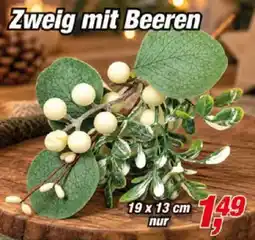 Posten Börse Zweig mit Beeren Angebot