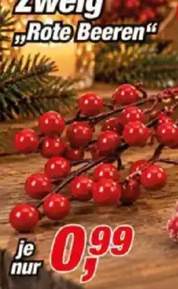 Posten Börse Zweig "Rote Beeren" Angebot