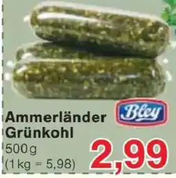 Jawoll Ammerländer Grünkohl Angebot