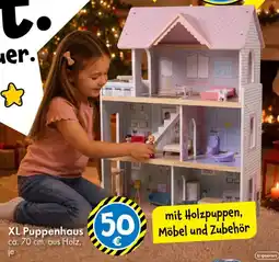 TEDi XL Puppenhaus Angebot