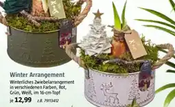 Bauhaus Winter Arrangement Angebot