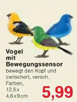 Jawoll Vogel mit Bewegungssensor Angebot