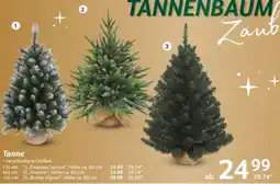 Selgros Tannenbaum Angebot