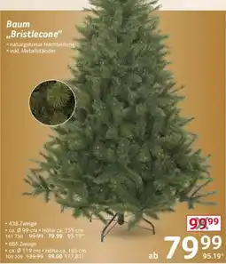 Selgros Baum „Bristlecone“ Angebot