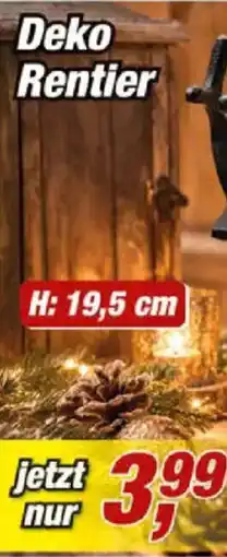 Posten Börse Deko Rentier Angebot