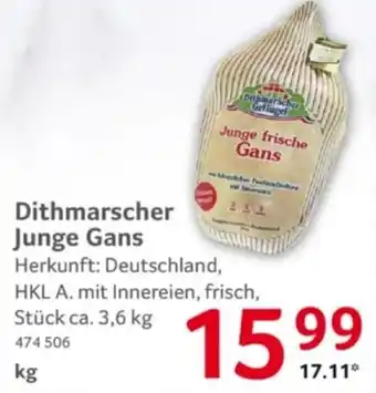 Dithmarscher Junge Gans