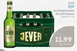 Edeka Struve JEVER BIER Angebot