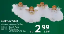 Selgros Engel Angebot