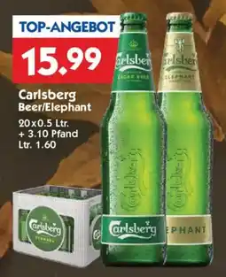 Hol'ab Getränkemarkt Carlsberg Beer/elephant Angebot