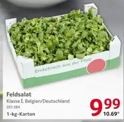 Selgros Feldsalat Angebot
