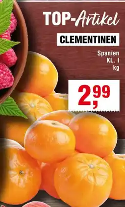 Handelshof Clementinen Angebot