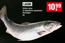Handelshof LACHS Angebot