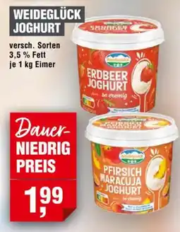 Handelshof WEIDEGLÜCK JOGHURT Angebot