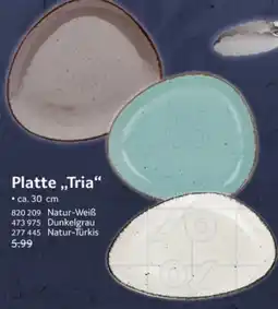 Selgros Platte Tria Angebot