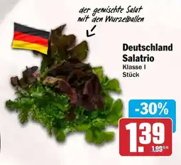 HIT Deutschland Salatrio Angebot