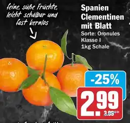 HIT Spanien Clementinen mit Blatt Angebot