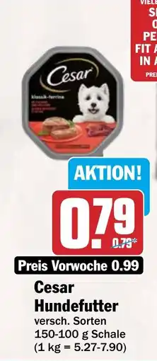 HIT Cesar Hundefutter Angebot