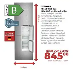 Hirsch und Ille LIEBHERR KGNsf 1863 Bex Kühl-Gefrier-Kombination Angebot