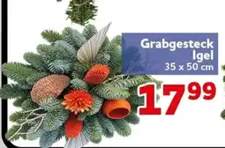 CENTERSHOP Grabgesteck Igel Angebot