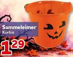 CENTERSHOP Sammeleimer Kürbis Angebot