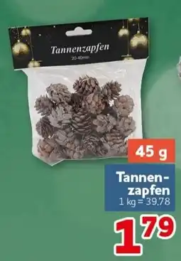 CENTERSHOP Tannenzapfen Angebot