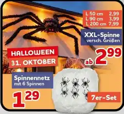 CENTERSHOP XXL-Spinne Angebot