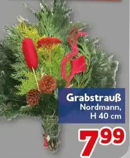 CENTERSHOP Grabstrauß Nordmann Angebot