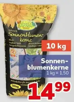 CENTERSHOP Sonnenblumenkerne Angebot