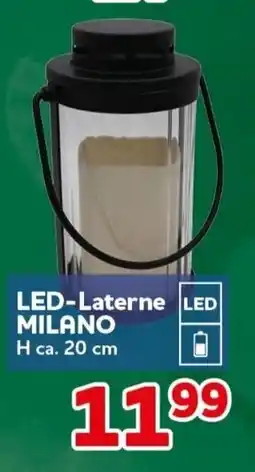 CENTERSHOP LED-Laterne MILANO Angebot