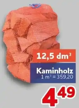 CENTERSHOP Kaminholz Angebot