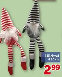 CENTERSHOP Wichtel Angebot