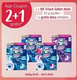 Rossmann WC Frisch Selbst Aktiv Angebot
