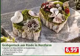 Norma Grabgesteck aus Rinde in Herzform Angebot