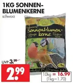 Wreesmann Schwarze Sonnenblumenkerne Angebot