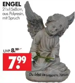 Wreesmann ENGEL Angebot