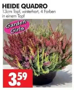 Wreesmann HEIDE QUADRO Angebot