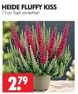 Wreesmann HEIDE FLUFFY KISS Angebot